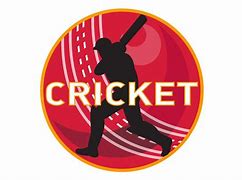 Image result for Cricket Back Images Batman