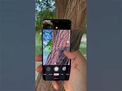 Image result for Google Pixel 4XL Macro Photography