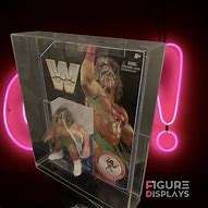 Image result for WWE Retro Case