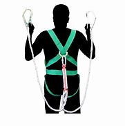 Image result for Body Harness 2 Hook