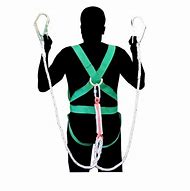 Image result for Harness Lanyard