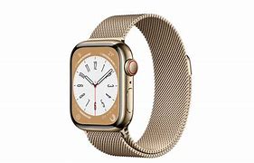 Image result for Metal Apple Watch Case