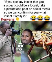 Image result for Nairobi Memes