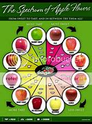 Image result for Types of Apple's for Eating