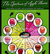 Image result for Best Apple Types