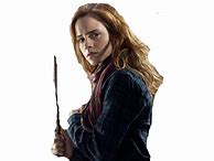 Image result for Harry Ron and Hermione PNG