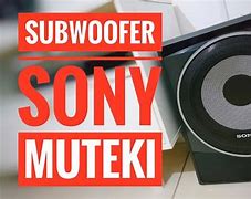 Image result for Sony Muteki Subwoofer