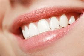 Image result for Beautiful Sharp Teeth