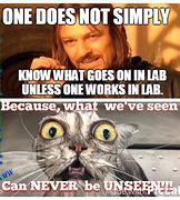 Image result for Lab Humor Memes