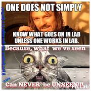 Image result for Funny Lab Memes