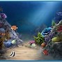 Image result for Free Aquarium Screensaver Windows 7