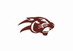 Image result for Vuu Panthers Logo