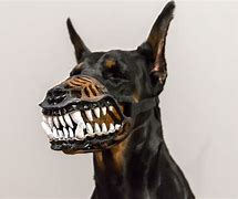 Image result for Scary Dog Muzzle