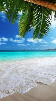 Image result for Tropical Beach Phone Wallpaper
