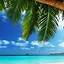 Image result for iPhone XR Wallpaper Beach