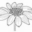 Image result for Aesthetic Pink Flower Drawing