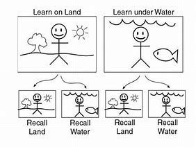 Image result for Encoding Memory Cartoon