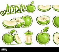 Image result for Apple Stem and Leaf SVG