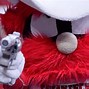 Image result for NCAA Football Mascots