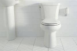 Image result for Dual Flush Toilet Design