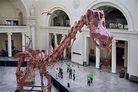 Image result for Largest Dinosaur in Atlanta