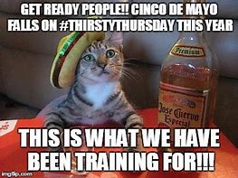 Image result for Tequila Cat Meme