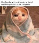 Image result for Crying Cat Finance Meme