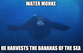 Image result for Water Monkey Meme