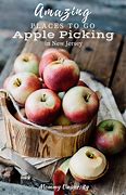 Image result for New Jersey Apple-Picking