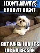 Image result for Funny Dog Memes Dirty