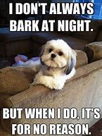 Image result for Funny Dog Memes