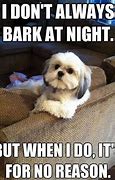 Image result for Hilarious Pet Memes