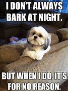 Image result for Dog From Pet Food and Meme
