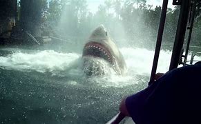 Image result for Jaws Ride Universal