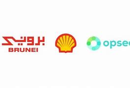 Image result for Brunei Petroleum Logo