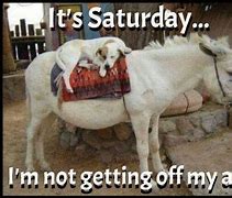 Image result for Saturday Farm Memes