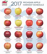 Image result for Apple Harvest Chart