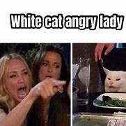 Image result for Angry White Cat Meme