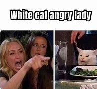 Image result for White Cat Meme Template