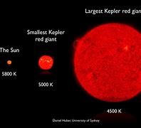Image result for How Big Is Our Sun