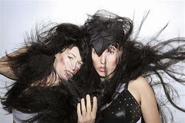 Image result for cocorosie