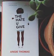 Image result for The Hate U Give Book Blurb