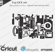Image result for Fujifilm GFX 100 Fashion Shoot