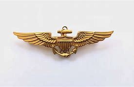 Image result for WW2 USN Pilot Wings