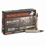 Image result for 30-06 Ammo