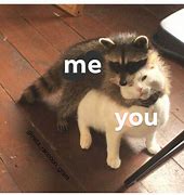 Image result for I Love You in Raccoon Meme