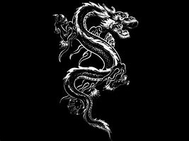 Image result for Dragon Black and White