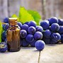 Image result for Grape Seed Oil Dis-Chem