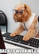 Image result for good jobs fun memes dogs