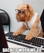 Image result for Funny Dog at Work